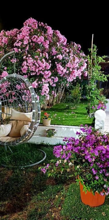 La Smeralda - Boutique Rooms And Breakfast Golfo Aranci Dış mekan fotoğraf